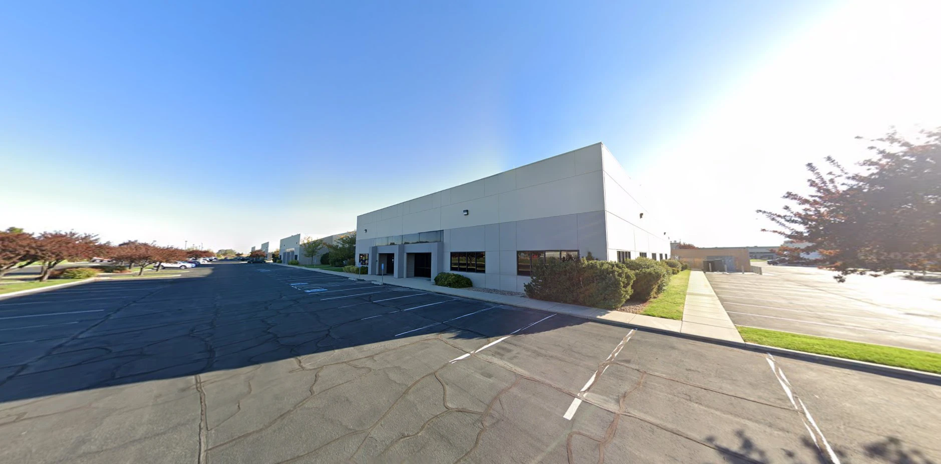 Martina Rossi headshot