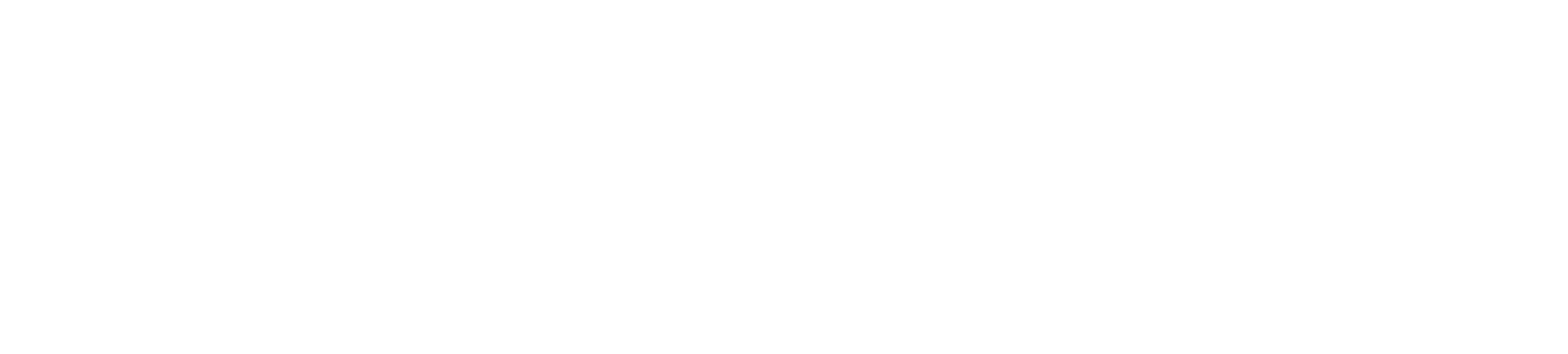 White Pathlines Logo